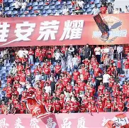 滇池山猫队险胜燕山雄鲨队，拳击总决赛上演关键失误成转折！黑马成最大惊喜-AYX中国